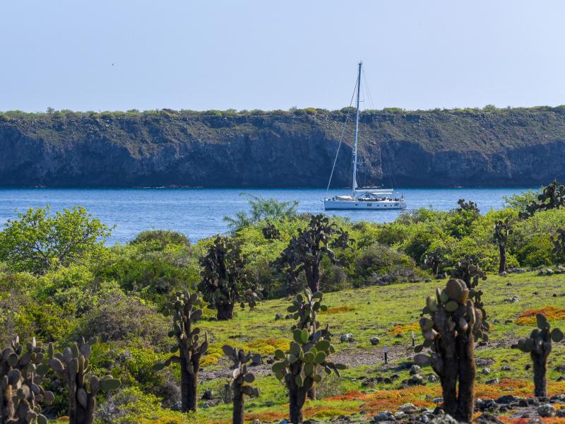 The Galápagos Islands