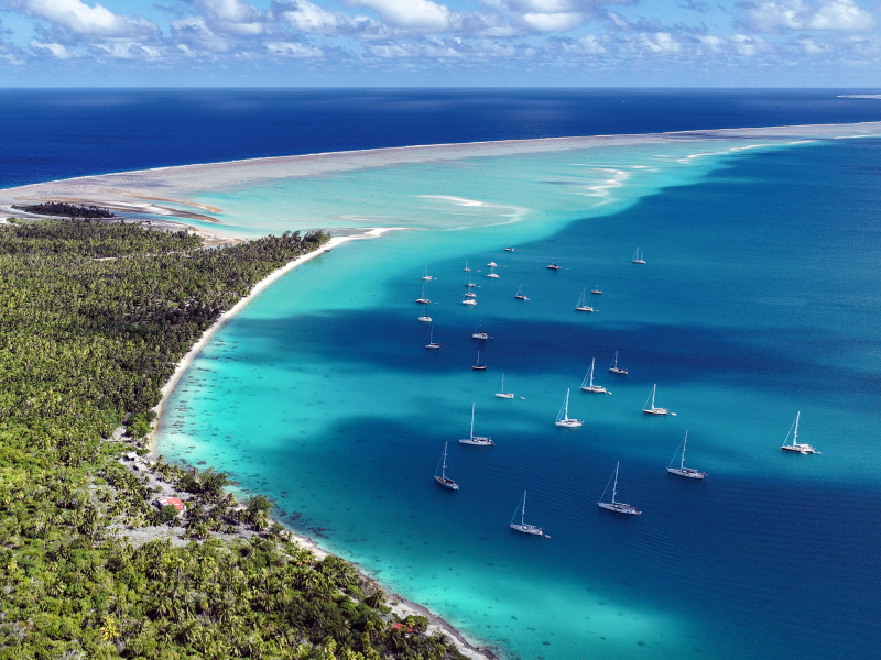 Oyster World Rally 2024-25